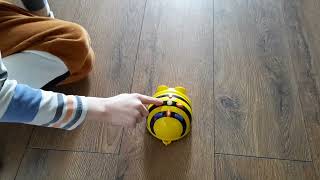 Bee  Bot Programmable Robot [upl. by Niamor]