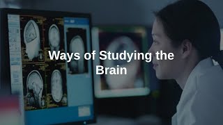 Ways of Studying the Brain [upl. by Ocsecnarf]