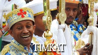 TIMKAT  LA FETE DE LEPIPHANIE EN ETHIOPIE  ጥምቀት [upl. by Taryne198]