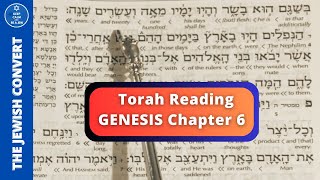 Genesis Chapter 6  Torah Reading in Hebrew amp English Translation  TORAH STUDY [upl. by Leitnahs736]