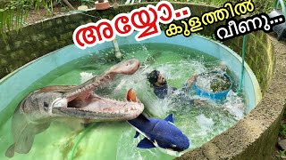 🔥 മുതലേയുള്ള കുളത്തിൽ വീണു  Pond Restoration went Wrond 😥 [upl. by Paradies]