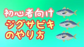 【初心者向け】ジグサビキのやり方解説 [upl. by Calva]