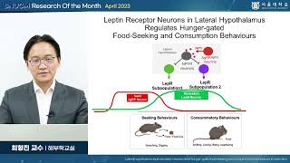 SNU MEDICINE 이달의 연구 2023년 4월 해부학교실 최형진 교수님 [upl. by Melloney]