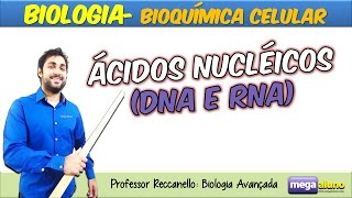 Ácidos Nucléicos DNA e RNA com dicas de memorização Material na descrição [upl. by Glenn731]