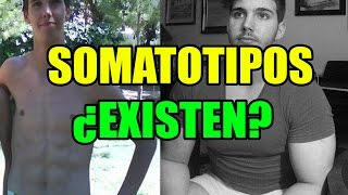 SOMATOTIPOS MESOMORFOS ENDOMORFOS Y ECTOMORFOS ¿EXISTEN [upl. by Iemaj33]