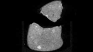 SM54 Neutron Tomography 3x4 cm field of view [upl. by Nylireg]