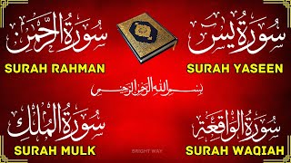 Surah Yaseen  Surah Rahman  Surah Mulk  Surah Waqiah  Surah Muzammil  Most Beautiful Tilawat [upl. by Israel]