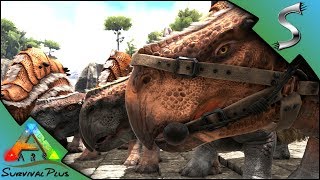 MORELLATOPS ARMY HATCHING amp IMPRINTING  Ark Survival Plus Gameplay E28 [upl. by Ecydnarb]