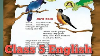 SEBA  Class 5 English chapter 3  Bird Talk [upl. by Bathilda457]