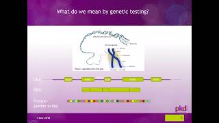 The Genetics of ADPKD [upl. by Ahtabbat]