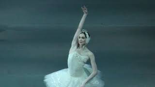 031018 Olesya Novikova Swan Lake Entrance of Odette [upl. by Socha545]