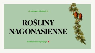 16 Rośliny nagonasienne  budowa charakterystyka cykl rozwojowy 🌲 matura biologia rozszerzona 📕 [upl. by Oiznun858]