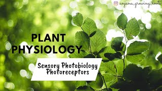 Sensory Photobiology  Photoreceptors  Malayalam  Plant Physiology MSc [upl. by Adaner]