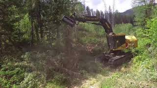 Promac HDM48 on a Tiger Cat Feller Buncher [upl. by Nordgren]