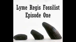 Fossil Hunting at Lyme Regis 2021 Episode 1 [upl. by Fawna]