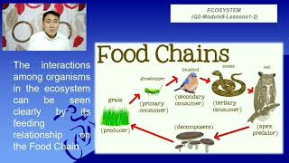 ECOSYSTEMS Interactions Among Living Things in Filipino [upl. by Airamak390]