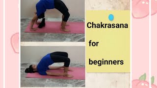 Chakrasana for beginners [upl. by Refotsirc619]