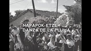 Música Tradicional De Tambor Y Carrizo Zoque NAPAPOKETZEDANZA DE LA PLUMA DE GUACAMAYA [upl. by Panthea100]