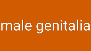 Male Genitalia Definition amp Meaning [upl. by Knoll65]