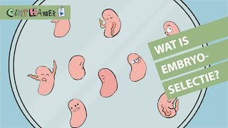 Wat is embryoselectie [upl. by Aicital]