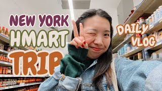 VISITING HMART IN NEW YORK CITY 🇰🇷 [upl. by Nnaeiram181]