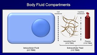 IV Fluids Lesson 1  Basic Principles [upl. by Aritak813]