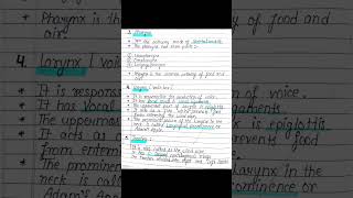 Human Respiratory System Short Notes Pharynx Trachea Lungs  shorts youtubeshorts status 🤔 [upl. by Lyndsey]