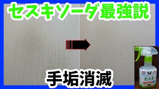 【100均お掃除】壁紙の汚れはセスキ炭酸ソーダ1択！DAISO最強説☆ [upl. by Nazarius609]