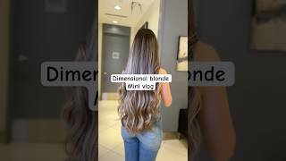 Dimensional blonde balayage on long brown hair  mini hair vlog [upl. by Rama]