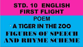 Std10 English FIRST FLIGHT A TIGER IN THE ZOO  FIGURES OF SPEECH AND RHYME SCHEME [upl. by Nicolette]