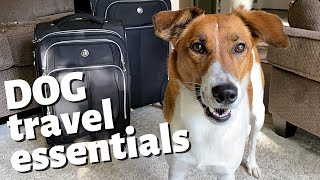 DOG TRAVEL ESSENTIALS  5 Must Have Items When Traveling with A Dog [upl. by Easlehc391]