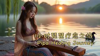 1小时琵琶疗愈之旅：放松心灵，治愈疲惫A 1Hour Pipa Healing Journey Relax and Soothe Your Soul music melody [upl. by Madelena]