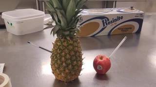 PPAP  Pen Pineapple Apple Pen REMIX [upl. by Anev486]