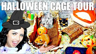 HALLOWEEN HAMSTER CAGE TOUR 🎃  PET CAGE TOUR [upl. by Adnor]