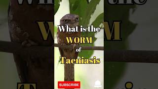 What is the worm of taeniasis shorts facts biology [upl. by Scoville]