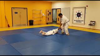 ShodokanTomiki Aikido Tanto kaeshi waza￼ [upl. by Afrika]