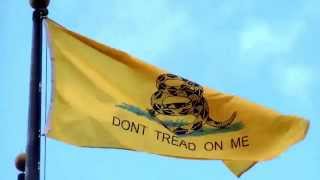 Gadsden Flag 1775 618 [upl. by Anilok]