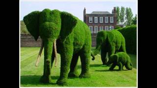 Topiary  the art of shaping trees amp shrubs into art forms  courtesy of Pinterest [upl. by Etna794]