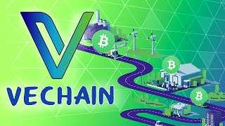 What is VeChain VeChain Coin Explainer ANIMATED [upl. by Gagne]