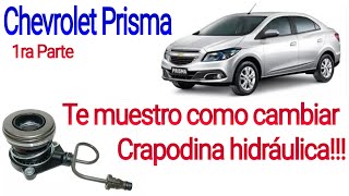 Te muestro como cambiar crapodina hidráulica chevrolet prisma [upl. by Kong769]