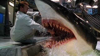 Top 10 Shark Movies [upl. by Arnaud]