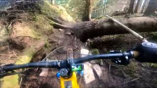 Yair Forest Tech  MTB Scotland  Nukeproof Bikes [upl. by Burkitt788]