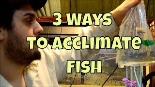 How to Acclimate New Fish in the Aquarium  3 Different Methods of Safely Acclimating Fish [upl. by Aisenat]