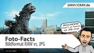 FotoFacts  Bildformat RAW vs JPG [upl. by Lledniw]