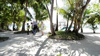 Welcome Drumming at Vilamendhoo Island Resort [upl. by Mahoney606]