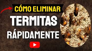 CÓMO ELIMINAR TERMITAS RÁPIDAMENTE 👆 Comejenes Con MÉTODOS CASEROS ✅ [upl. by Nahtal231]