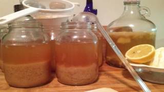 Poseymom Water Kefir Grains Starter [upl. by Valma]