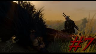 The Witcher 3 ─ 7 ─ Les Drames de Blanchefleur  FR  Info Livres [upl. by Dettmer]