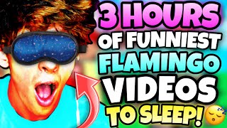 3 HOURS OF FLAMINGO TO FALL ASLEEP ROBLOXMARATHON [upl. by Suzzy]