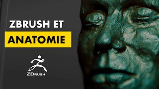 Comment apprendre lanatomie du corps humain 3D pour ZBrush [upl. by Katrine]